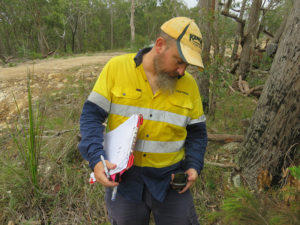 Consultant doing fieldwork