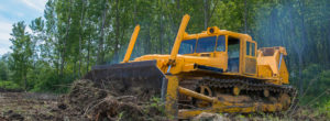 Bulldozer clearing trees